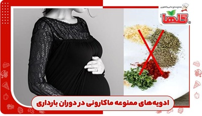 ادویه‌های ممنوعه ماکارونی در بارداری؛ چه بخوریم و چه نخوریم؟!